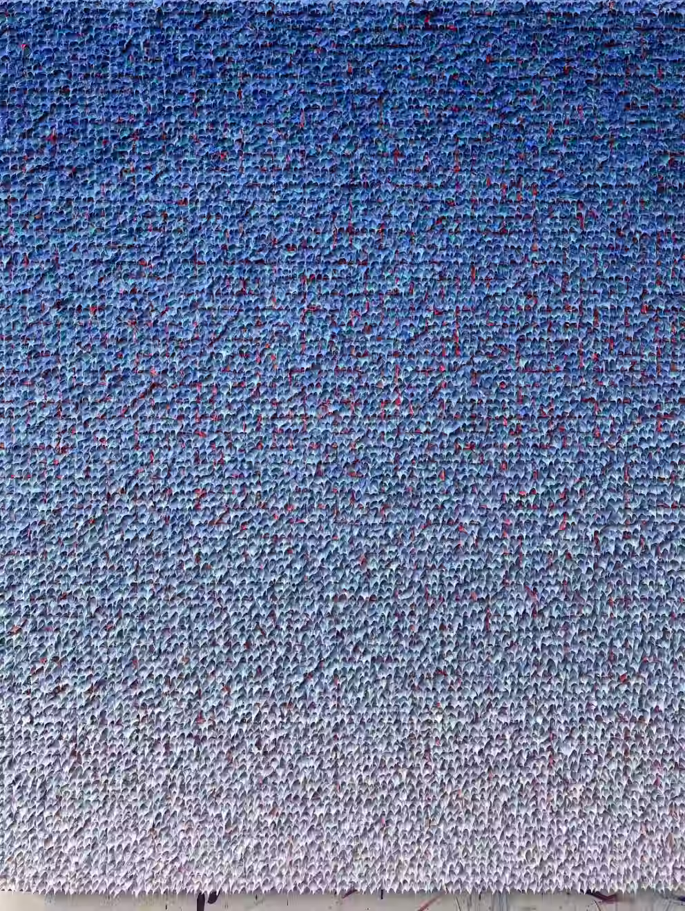 SH202507